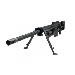 CheyTac M200 8mm