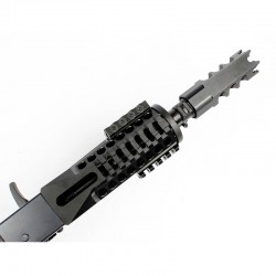 ELAKS74UN-C Tactical MOD C AEG Platinum