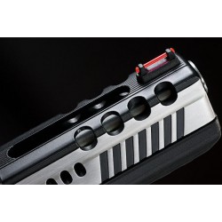 APS Dragonfly Dual Power Pistol