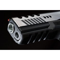 APS Dragonfly Dual Power Pistol