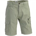 D.Five Short Pant Light Green