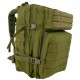 Mochila 45L OD