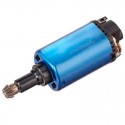 Raccoon Motor Neodymium 19T Long Axis