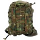 Conquer Backpack Molle CB