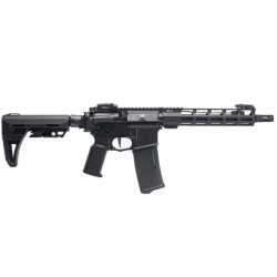 Arcturus X C.A.T. AR 15 Explorer AR FE® 10"