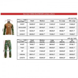 Corso Pantalón Blackbeard OD