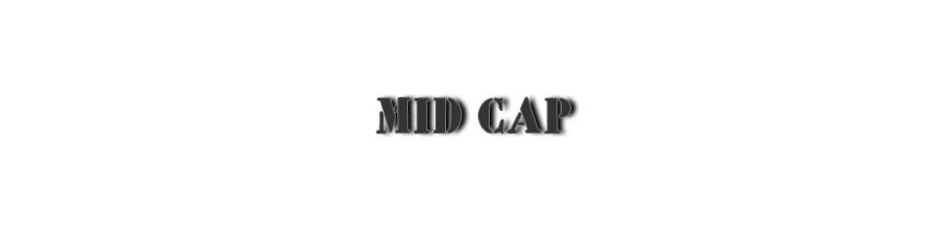 Mid Cap