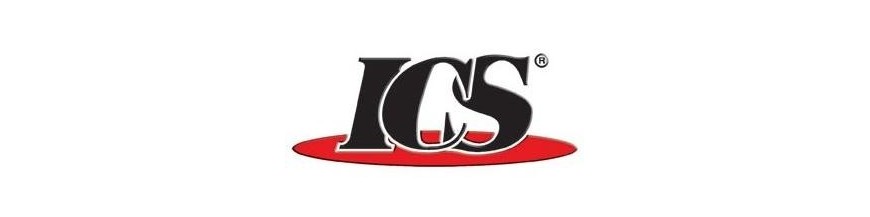 ICS